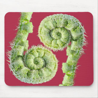 Seize the day mousepad