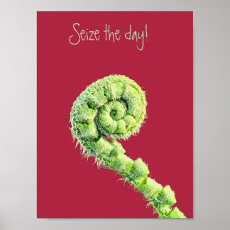 Seize the day poster