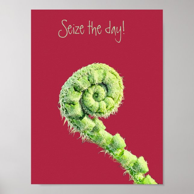 Seize the day poster (Vorne)