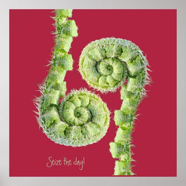 Seize the day poster (Vorne)