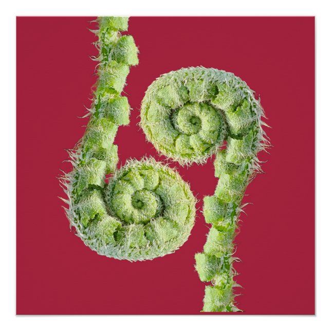 Seize the day poster (Vorderseite)