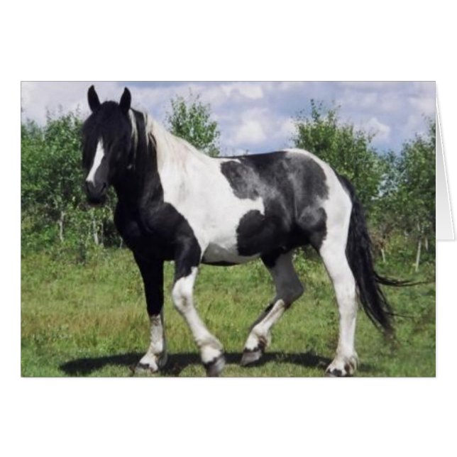 Sel (Devant Horizontal)