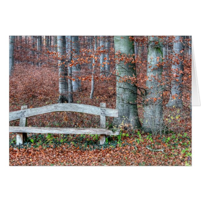 Selbst gemachte Park-Bank (Vorderseite (Horizontal))