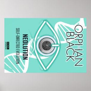 Selbstgesteuerte Evolution (Poster) Poster