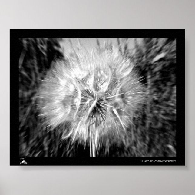 selbstzentriert poster (Vorne)