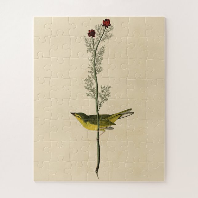 Selby's Fly Catcher - Audubons Vögel von Amerika (Vertikal)