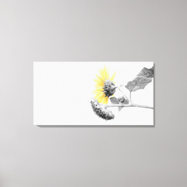 Selektive Färbung der Minimalistischen Gelbblüte Leinwanddruck (Vorderseite)