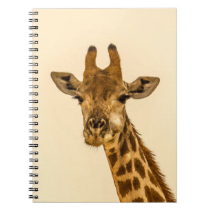 SELEKTIVE FOCUS FOTOGRAFIE VON GIRAFFE NOTIZBLOCK