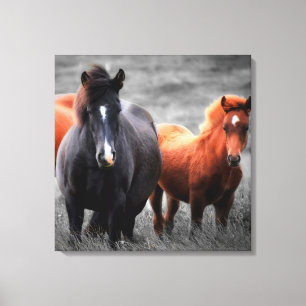 Selektive Minimalistische Fotografie Leinwanddruck