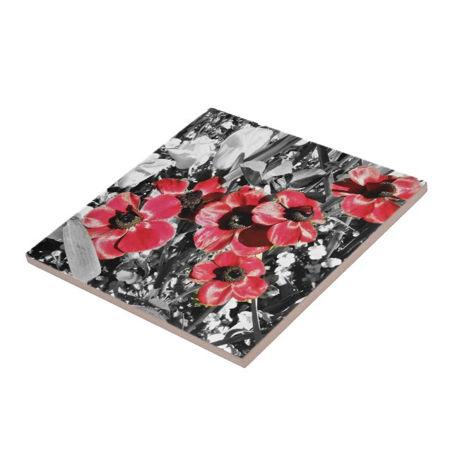 Selektive Schönheit - Keramik für Anemonen Fliese (Seite)