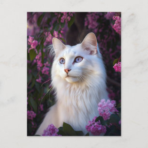 Selene la carte postale de chat Angora turc