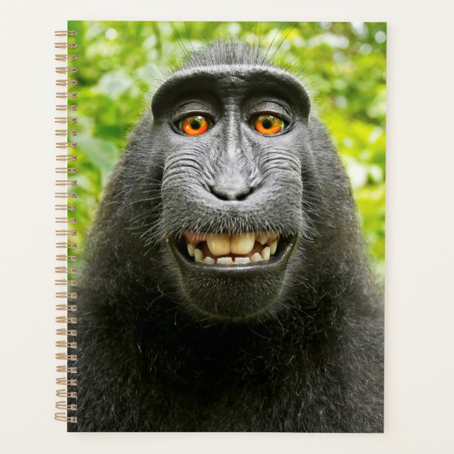Selfie de singe (Devant)