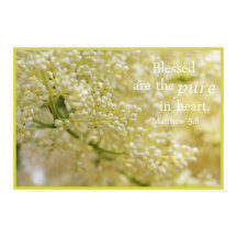 Selig sind die reinen Herzen