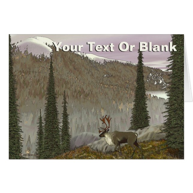 Selkirk Caribbean (Vorderseite (Horizontal))