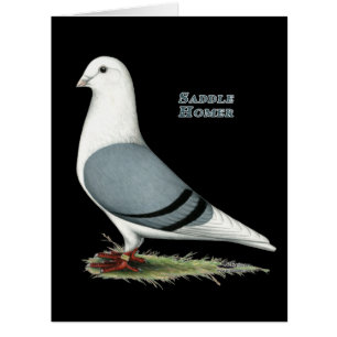 Selle bleue Homer