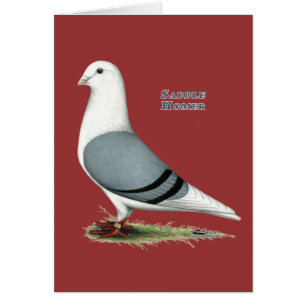 Selle bleue Homer
