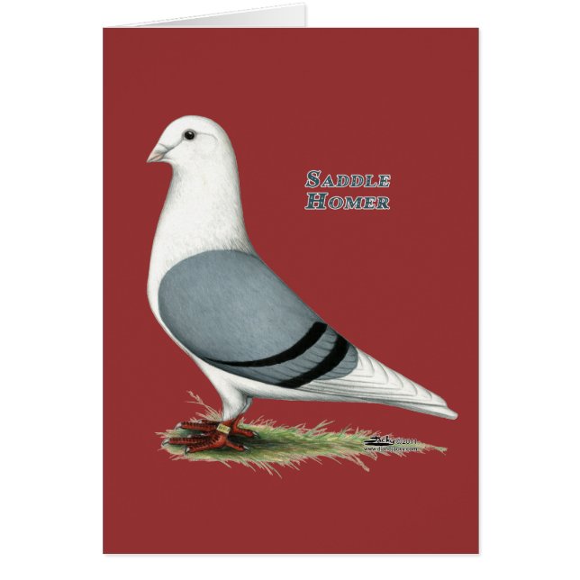 Selle bleue Homer (Devant)