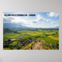 Selong Hill Sembalun Lombok Rice Field Art