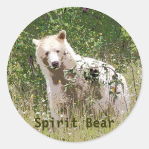 Selten Kermode Spirit Bär, Arena Runder Aufkleber