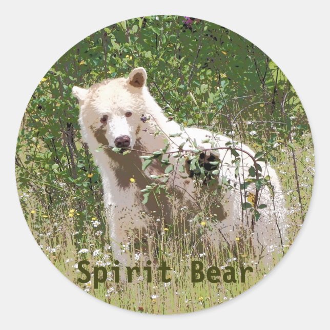 Selten Kermode Spirit Bär, Arena Runder Aufkleber (Vorderseite)