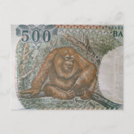Selten Orangutan Limited Edition Postkarte