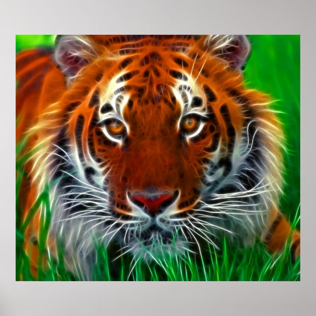 Selten Sumatran Tiger aus Indonesien Poster (Vorne)