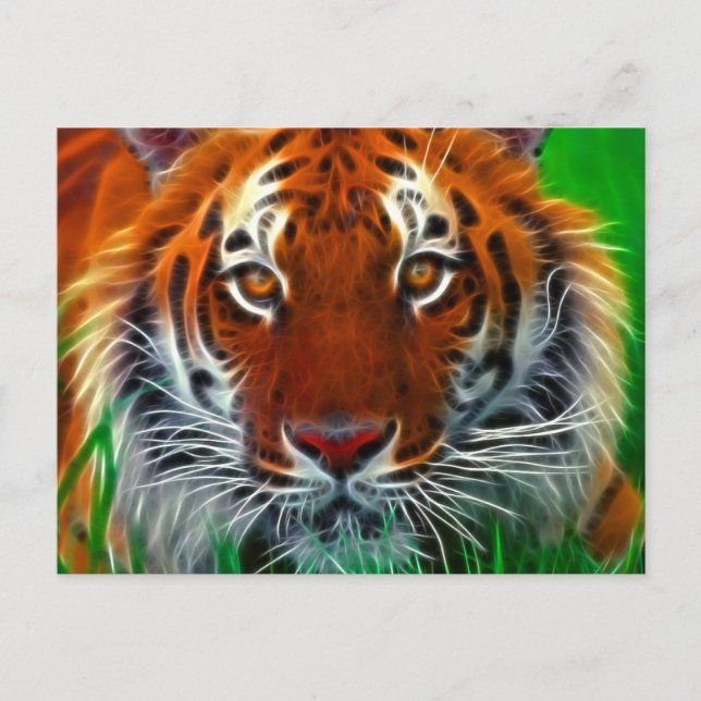 Selten Sumatran Tiger aus Indonesien Postkarte (Vorderseite)