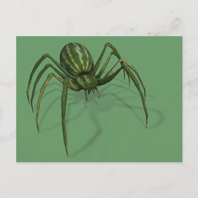 Selten Watermelon Spider Postkarte (Vorderseite)