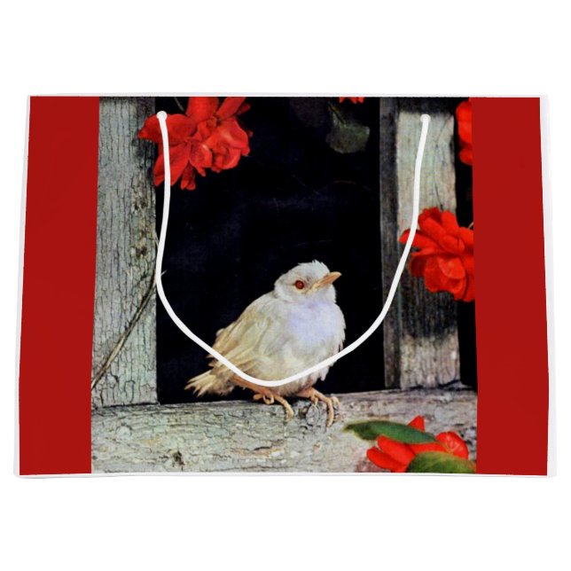 Seltene Albino-Rotbarbe Große Geschenktüte (Vorderseite)