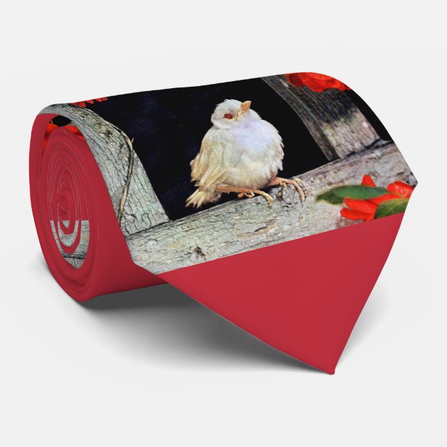 Seltene Albino-Rotbarbe Krawatte (Gerollt)