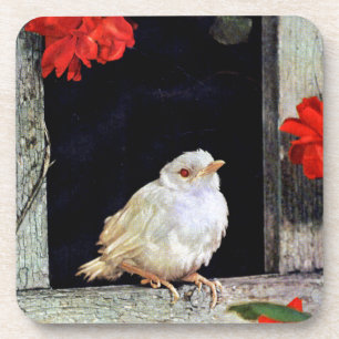 Seltene albino-Rotkehlchen-Vogel Untersetzer