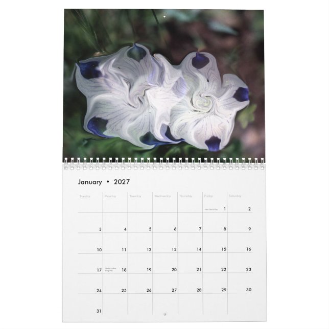 seltene Blumenbilder Kalender (Jan 2027)