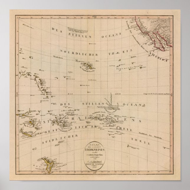 Seltene Nordpol-Projektion Poster (Vorne)