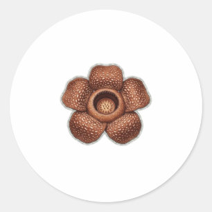 Seltene Rafflesia-Blumenkunst - Exotische indonesi Runder Aufkleber