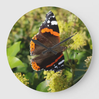 Seltene Red Admiral Butterfly in the Sun on Flower Große Wanduhr
