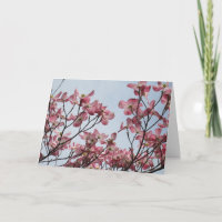 Seltene rosa Hartriegel-Karte