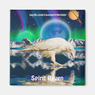 Seltene Spirit Raven Fantasy Magnete Magnet