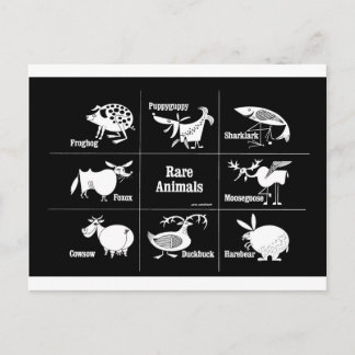 Seltene Tiere Postkarte