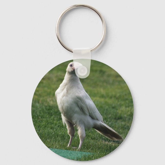 Seltene weiße Raven-Geschenke Schlüsselanhänger (Vorderseite)