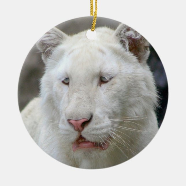 Seltene weiße Tiger-Verzierung Keramikornament (Vorne)