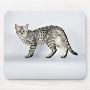 Seltener ägyptischer Mau-Katze Mousepad