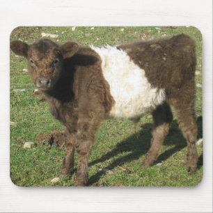 Seltener Dun umgeschnalltes Galloway-Kalb Mousepad