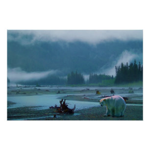 Seltener Kermode Bär (Geistbär) und Misty River Poster