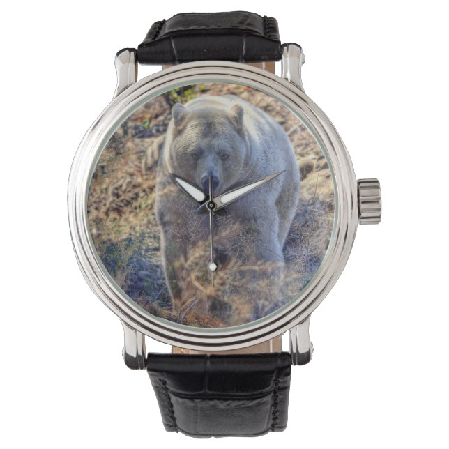 Seltener Kermode-Bär (Geistbär) Wildlife-Foto Armbanduhr (Vorderseite)