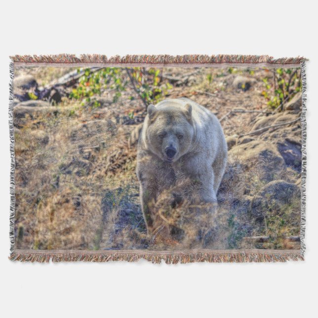 Seltener Kermode-Bär (Geistbär) Wildlife-Foto Decke (Vorderseite)