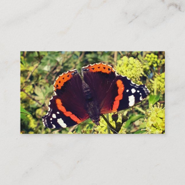 Seltener roter Admirals-Schmetterling und eine Rabattkarte (Vorderseite)