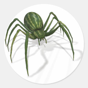 Seltener Wassermelonen-Spinne Runder Aufkleber