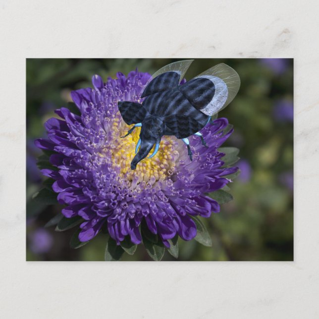 Seltenes Blue Elephant Bug Postkarte (Vorderseite)