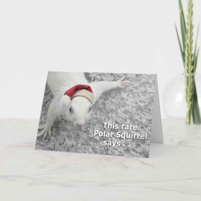 Seltenes Weihnachtshörnchen Feiertagskarte (Vorderseite)