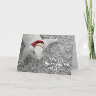 Seltenes Weihnachtshörnchen Feiertagskarte